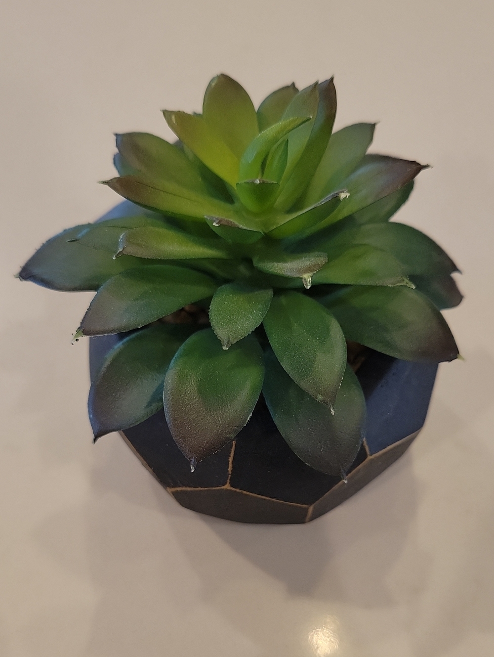 Real Living Faux Geometric Succulent Planter